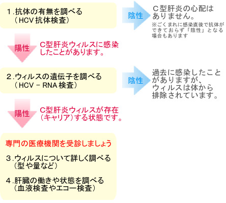 C型肝炎は気づかないまま肝硬変、肝がんへと進展